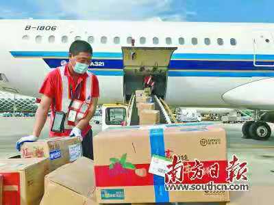 省农业农村厅协调南航增加荔枝空运运力。受访者供图