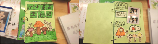 孩子们创意十足的实验笔记