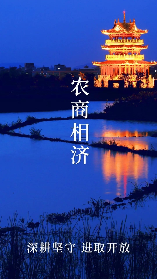 华阳湖夜色