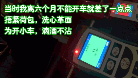 世界杯期间酒驾还想溜走 汕头63只醉猫被抓