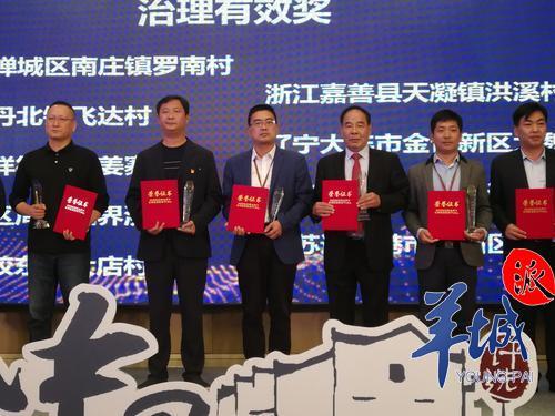 罗南村荣获2018年“中国最美村镇——治理有效”大奖