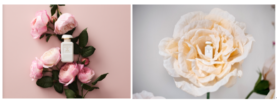 AERIN雅芮格拉斯千叶玫瑰 · 花悦香氛