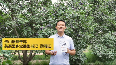 佛山援疆干部当起“带货官”为伽师农产品带货(来源:佛山新闻网)