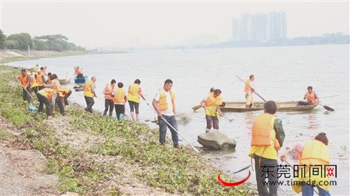 ■石排河流水面“清漂”专项行动 石排宣教文体局供图