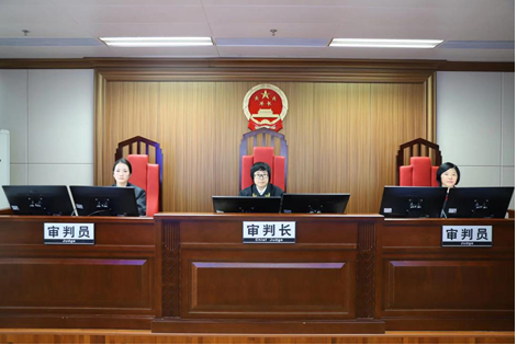 (图为广州互联网法院涉数据纠纷专业合议庭开庭审理案件)