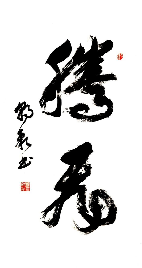 《腾飞》作者:徐闻县税务局 郑朝新
