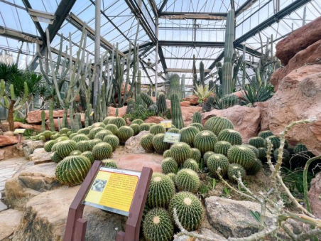 华南国家植物园