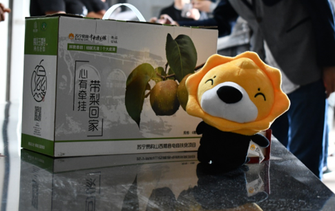 图注:山西隰县农特产品玉露香梨上线苏宁易购中华特色馆