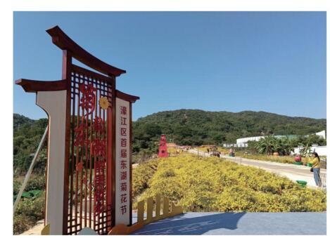 濠江区举办首届“东湖菊花节”,以“菊韵东湖 醉美侨乡”为主题,推动“侨、农、文、旅”深度融合。