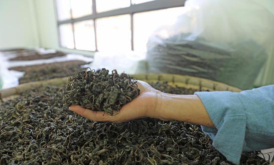 　　在南沙区的对口帮扶下，贵定县盘江镇引进了桑葚加工厂，形成种植、加工、销售等产业链，带动村民就业。