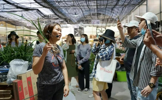 采风团在翁源兰花基地了解兰花电商销售情况 余泽辉 摄