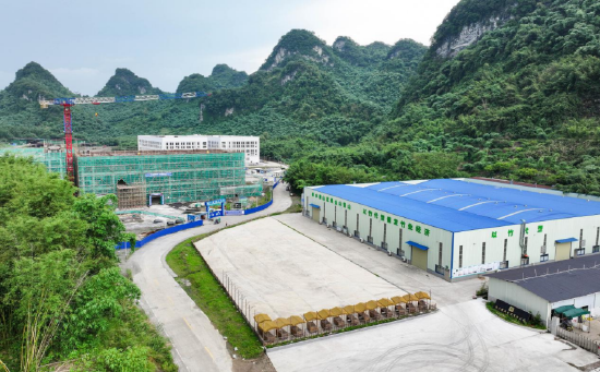 图为英德市麻竹笋省级现代农业产业园是西牛麻竹笋产业发展核心区