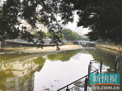 沙河涌天河南街河段位于下游，水流较缓，已有黄沙露出，旁边搭建有亲水平台。新快报记者 沈逸云/摄