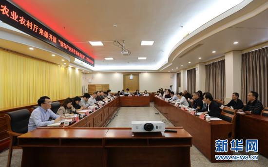 座谈会现场。新华网发
