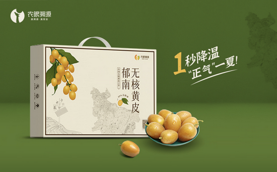 郁南无核黄皮精品礼盒装