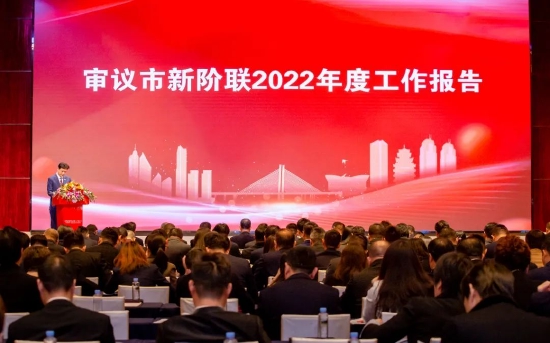 市新阶联执行会长漆柏麟作2022年度市新阶联工作报告