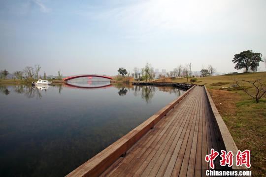 智谷绿道兴隆湖沿线。 王磊 摄