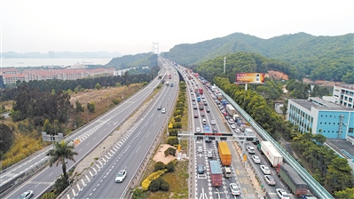 春运以来，虎门大桥日均车流量达13万车次。 广州日报全媒体记者卢政摄