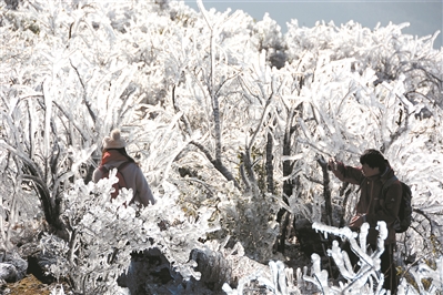 在金子山，低温带来的冰挂营造出一个童话般的世界。