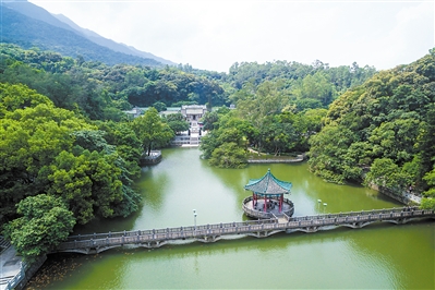 惠州博罗县罗浮山,植被繁茂常绿,是旅游胜地.