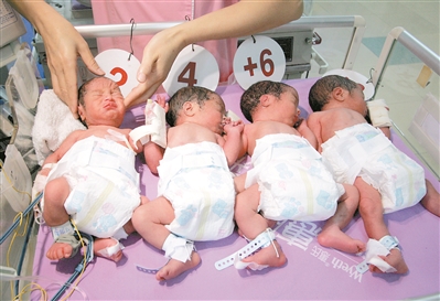 在深圳出生的四胞胎宝宝。