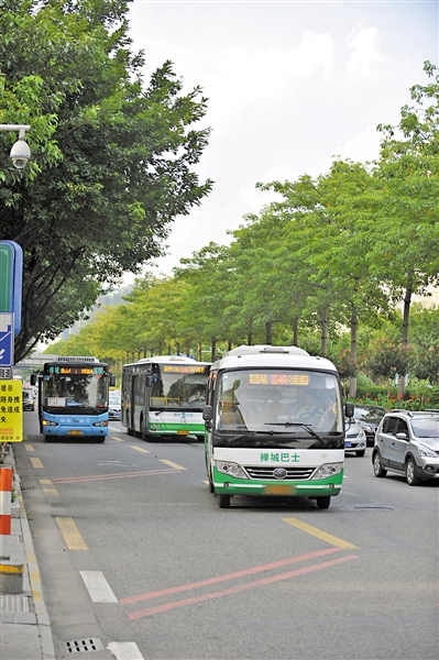 保障公交优先，佛山将出台多部法规。广州日报全媒体记者龙成通摄
