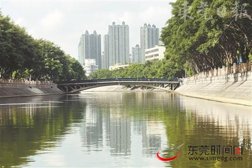 ■东城街道东莞运河樟村断面水环境状况 记者 郑家雄 摄