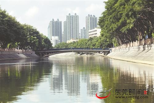 东城街道运河樟村断面整治后的水环境状况 本报记者 郑家雄 摄