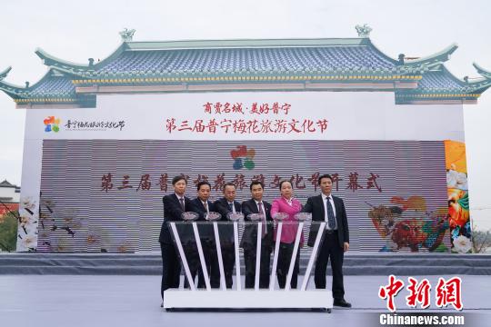 第三届普宁梅花旅游文化节28日在广东普宁开幕。　廖树培　摄