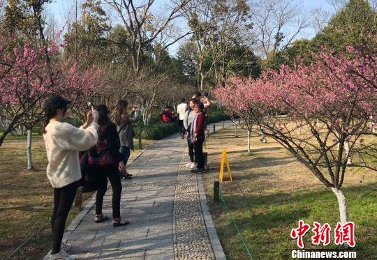 3月，杭州西湖景区的游客们正在赏花。　张斌　摄