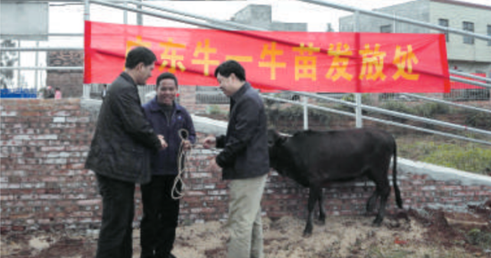 牛羊养殖基地启动仪式上，出席活动的领导嘉宾代基地向贫困户发放牛苗。