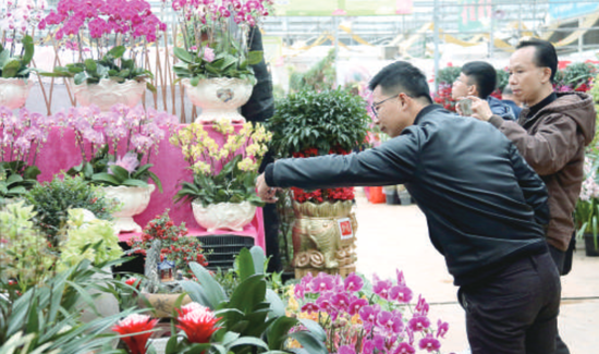 市民在花卉超市看花买花。/花卉世界供图