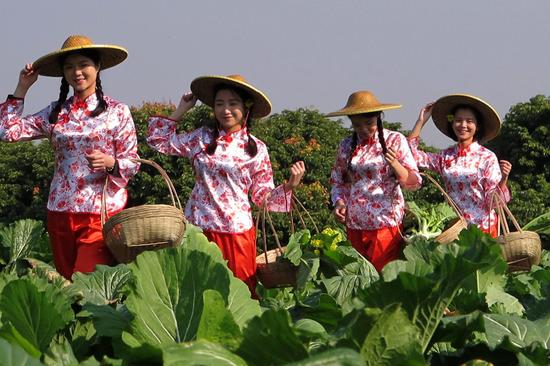 2017广州增城菜心美食节29日开幕