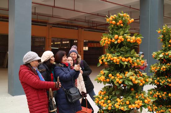 游客逛迎春花市