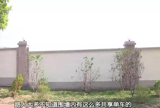 那这个车场为何会堆放这这么多共享单车的呢?