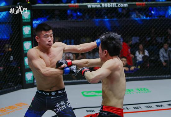 图二 包音那VS 王探招