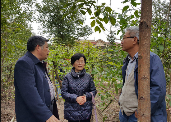 江西吉安林业局到惠州交流 产业结合推动新农