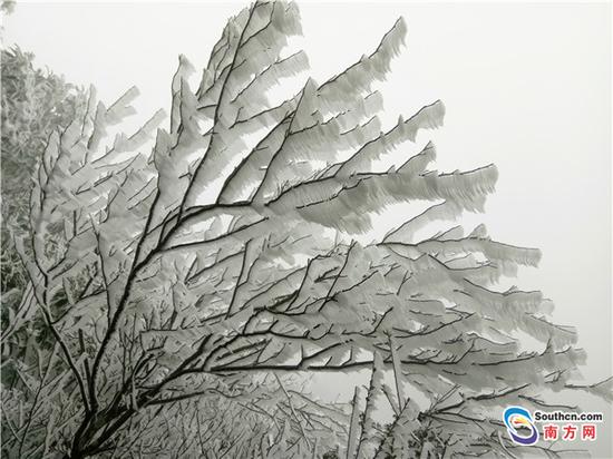 韶关乐昌部分区域出现冰挂奇观 千树万树冰花
