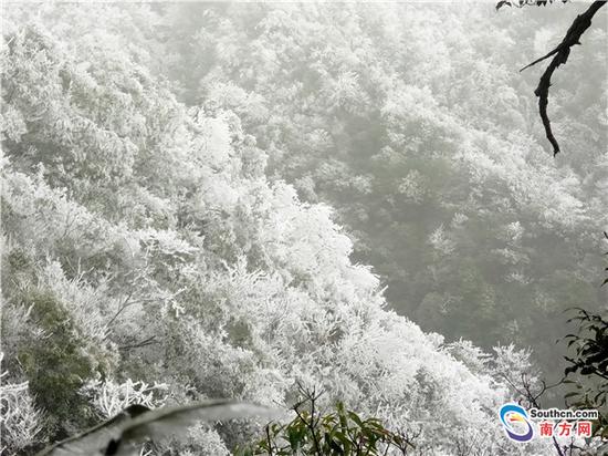 韶关乐昌部分区域出现冰挂奇观 千树万树冰花