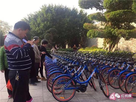 共享单车上线潮州一个月 各种不文明现象随之