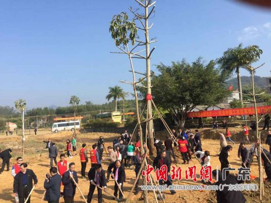 当地官员与红军后代在广东龙门县山下村白芒坑红军活动旧址共同栽下9棵“红军纪念树”。