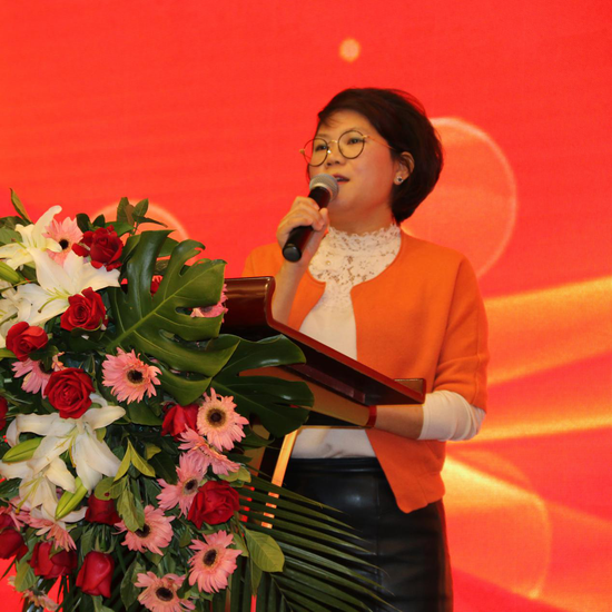 中山市湖南商会LED专业委员会2018迎春晚会