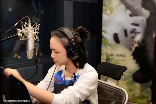 奇迹大熊猫首曝配音花絮 汤唯为大熊猫真诚发声
