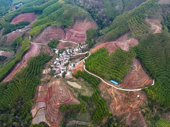 项目所在地倒淌箐新村落全貌