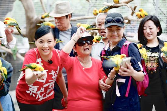 空巢老人 行走在公益边缘的孤独者