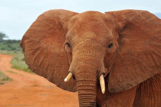 手机现金棋牌评测网 - 白城资讯网