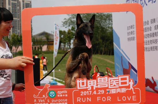 活动现场,萌宠报道