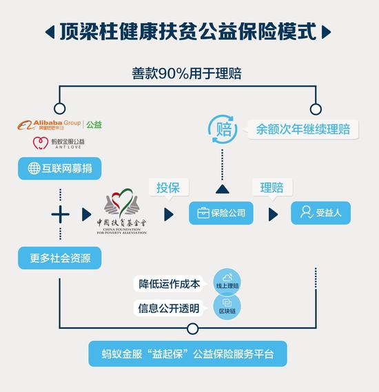 “顶梁柱”项目模式演示图