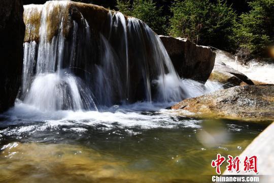 焉支山上林海松涛,碧波无际,山下沟壑纵横,清泉淙淙。 杨艳敏 摄