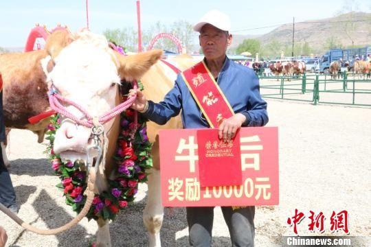 图为“牛后”及其养殖户。 马晓春 摄